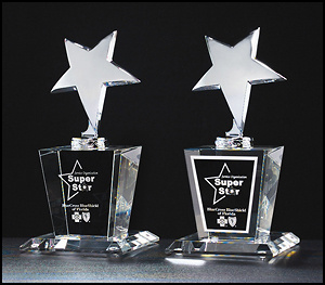 Chrome Plated Star Crystal Award