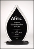 Flame Color Back Acrylic Award